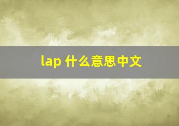 lap 什么意思中文